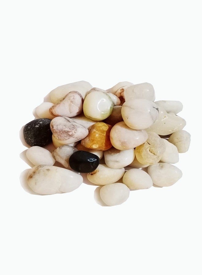 GO7 White Natural Glossy Pebble Stones, for Home Decoration, for Plant Stone and Landscaping, Aquarium Garden Indoor and Outdoor 2 kg - Image 3